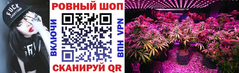 Виды наркоты Меленки АМФ БУТИРАТ ГАШИШ КОКАИН A PVP МЕФ