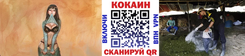Cocaine 98%  Меленки 