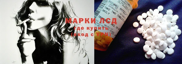 эйфоретик Бородино