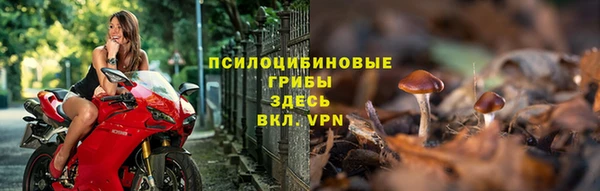прущий лед Богданович