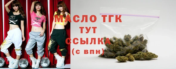 прущий лед Богданович