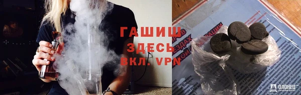 эйфоретик Бородино