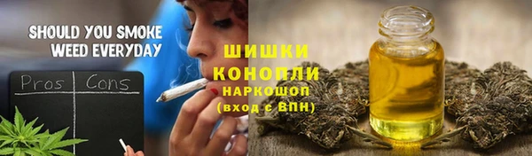 прущий лед Богданович