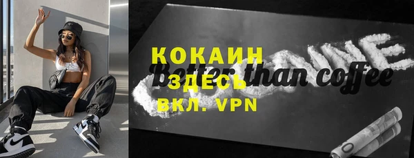 прущий лед Богданович