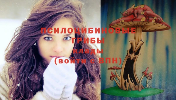 прущие крисы Бронницы