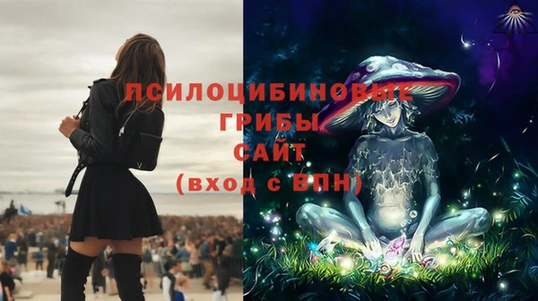 PSILOCYBIN Богородск