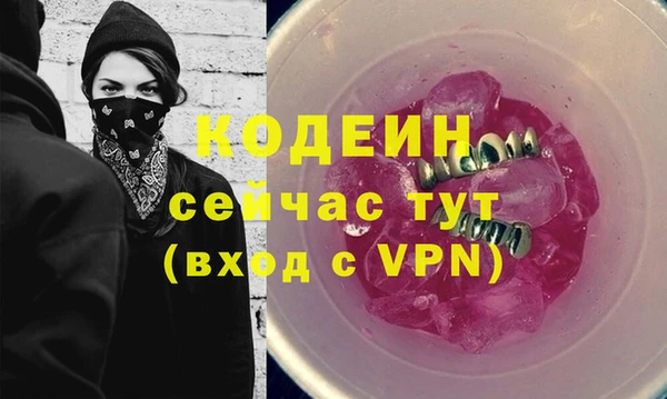 прущий лед Богданович